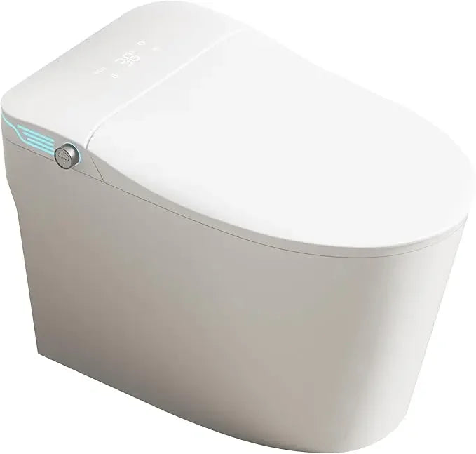 Elongated Smart Toilet with Bidet Built in