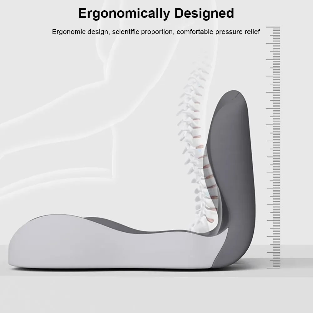 Contoured Ergonomic Lumbar Back Support Seat