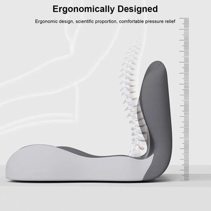 Contoured Ergonomic Lumbar Back Support Seat