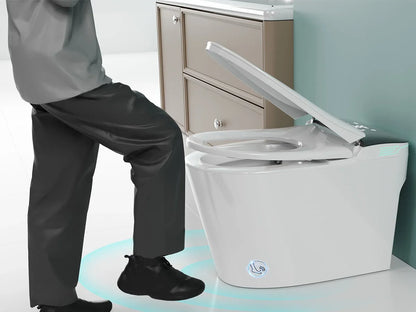 Elongated Smart Toilet with Bidet Built in