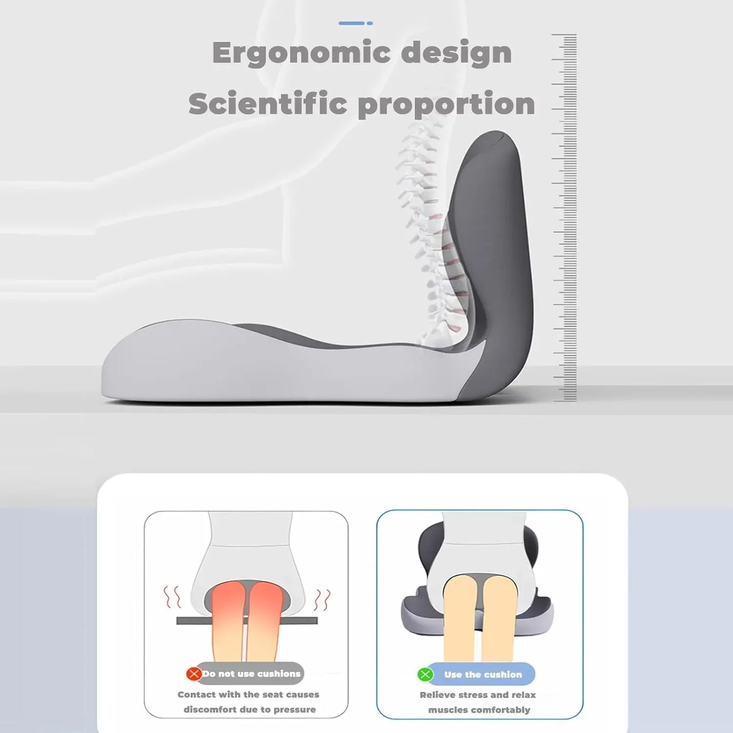 Contoured Ergonomic Lumbar Back Support Seat