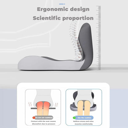 Contoured Ergonomic Lumbar Back Support Seat